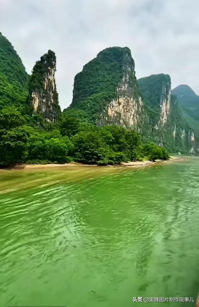 海贼王里,革命军新出现的四位队长实力强不强?有多强?-天涯问答平台